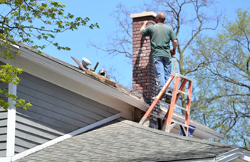 Chimney & Fireplace Inspections Services in Hastings, MN